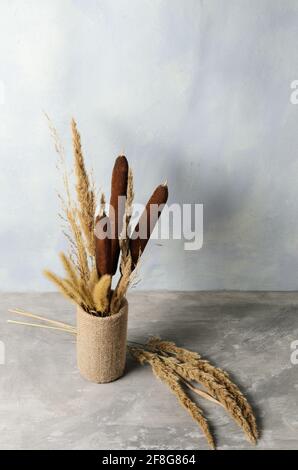 Ein Bouquet aus trockenen, flauschigen Grashalmen und Schilf in einer dekorativen Vase auf einer grauen Betonoberfläche und einem verschwommenen Strukturhintergrund. Selektiver Fokus Stockfoto