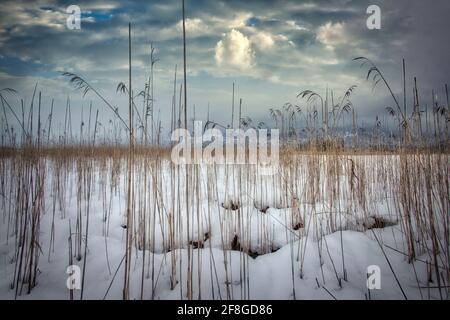 LANDSCHAFTSFOTOGRAFIE: Loisach Moorlands in Kochel, Oberbayern, Deutschland Stockfoto