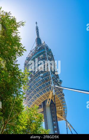 Torre de Collserola Telekommunikationsturm in Barcelona, Spanien Stockfoto