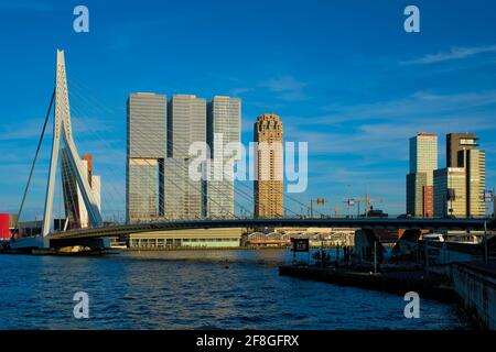 Die Skyline von Rotterdam Wolkenkratzern und die Erasmusbrug-Brücke über den Fluss Nieuwe Maas. Rotterdam Stockfoto