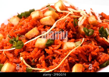 Schezwan paneer gebratener Reis mit schezwan-Sauce, chinesischer gebratener Reis mit paneer, garniert mit Frühlingszwiebel und Kohl Stockfoto