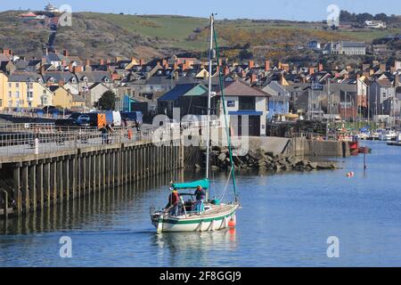 Aberystwyth Wales Vereinigtes Königreich Wetter 14. April 2021 . Ein sonniger Tag an der Westküste von Wales, an dem sich die Menschen versammelten, um das glitzernde blaue Meer und einen farbenfrohen Yachthafen zu sehen, während viele Boote bei Flut aus dem Hafen segeln, Quelle: mike davies/Alamy Live News Stockfoto