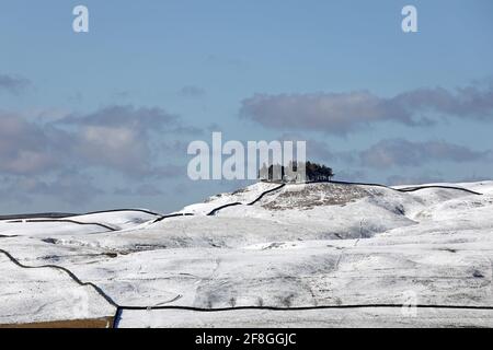 Der alte Baumbedeckte Grabhügel von Kirkcarreon vom Whistle Crag aus in After Spring Snowfall, Middleton-in-Teesdale, Teesdale, County Durham Stockfoto