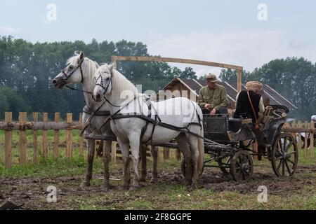 Rekonstruktion der Ereignisse des russischen Bürgerkrieges im Jahr 1919. Russland, Region Moskau, Nelidovo 15. Juli 2017 Stockfoto