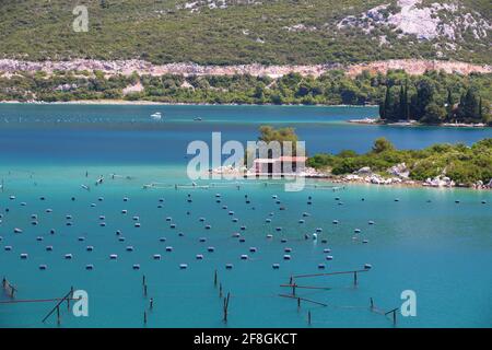Muschelfarmen in Kroatien - Muschelzucht in der Nähe der Bucht von Mali Ston (Halbinsel Peljesac). Stockfoto