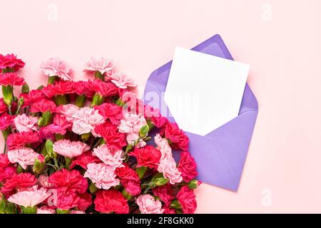 Rosa Nelkenblumen und lila Umschlag auf einem rosa pastellfarbenen Hintergrund. Flat Lay of Birthday, Mothers Day, Bachelorette, Hochzeitskonzept. Platz kopieren, t Stockfoto