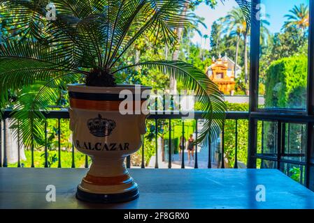 Keramik-Blumentöpfe im echten Alcazar de Sevilla in Spanien Stockfoto