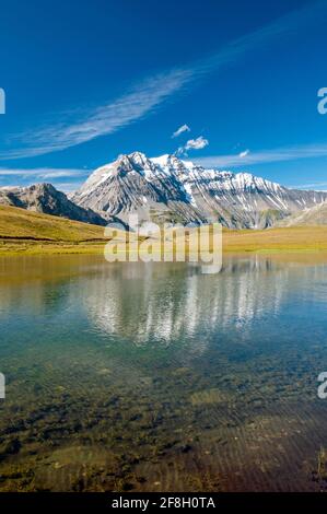 Plan du lac und La Grande Casse (3855M), Nationalpark Vanoise, Savoie (73), Region Auvergne-Rhone-Alpes, Frankreich Stockfoto