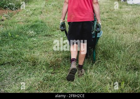 Rückansicht des Farmers, der auf dem Feld entlang läuft und die Schubkarre schiebt. Stockfoto