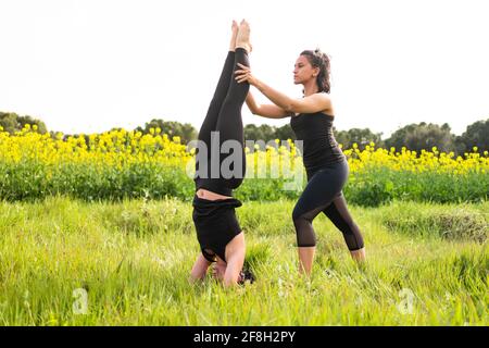 Mädchen hilft einem Freund, eine Yoga-Pose in durchzuführen Natur Stockfoto