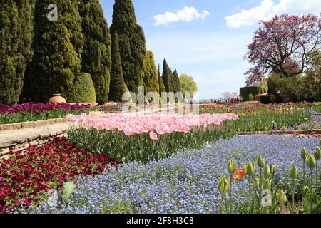 Bunte Tulpen im Park. Frühling Landschaft. Stockfoto