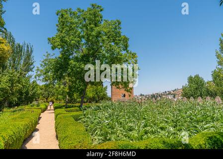 Park im Inneren des Alhambra Palastes in Granada, Spanien Stockfoto