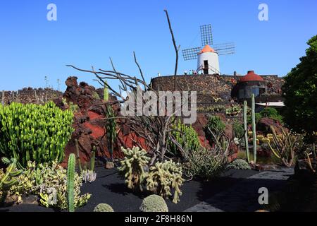 Gofio-Mühle, Kaktus Garten Jardín de Cactus in Guatiza, Lanzarote, Kanarische Inseln, Kanaren, Spanien Stockfoto