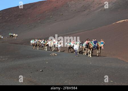 Dromedarfahrt für Touristen im Nationalpark Timanfaya, Parque Nacional de Timanfaya, Montañas del Fuego, Fire Mountains, Lanzarote, Kanarische Inseln, c Stockfoto