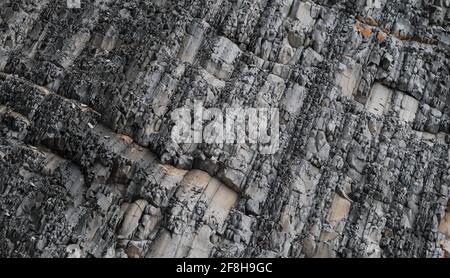 Grau gestreifter Fels. Textur natürlicher minimalistischer Steinhintergrund. Parallel gestreifte Gebirgslinien aus nächster Nähe. Stockfoto