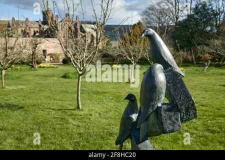 Priorwood Gardens in Melrose im Frühjahr mit Daffodils und Melrose Abbey im Hintergrund. Stockfoto