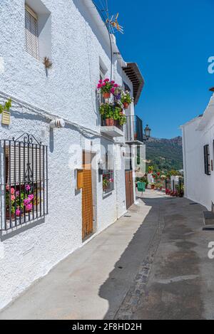 Typische weiße Straße des Dorfes Capileira in Spanien Stockfoto