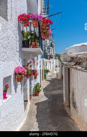 Typische weiße Straße des Dorfes Capileira in Spanien Stockfoto