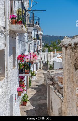 Typische weiße Straße des Dorfes Capileira in Spanien Stockfoto