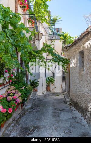 Typische weiße Straße des Dorfes Pampaneira in Spanien Stockfoto