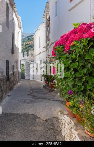 Typische weiße Straße des Dorfes Pampaneira in Spanien Stockfoto