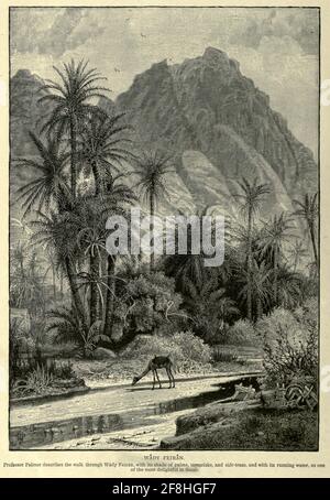 Männer und Kamele ruhen unter einem Akazienbaum in Wady Feiran, Sinai Holzstich aus dem 'malerischen Palästina, Sinai und Ägypten' von Wilson, Charles William, Sir, 1836-1905; Lane-Poole, Stanley, 1854-1931 Band 4. Veröffentlicht 1884 von J. S. Virtue and Co, London Stockfoto