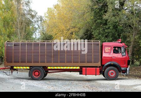 1976 Mercedes Viehwagen 1632 Modell Stockfoto