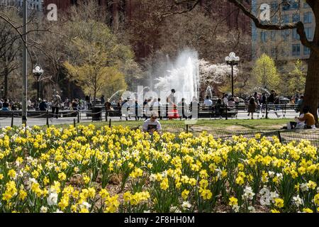 Washington Square Park ist das Herz von New York University in Greenwich Village, New York City, USA Stockfoto