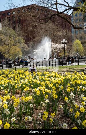 Washington Square Park ist das Herz von New York University in Greenwich Village, New York City, USA Stockfoto