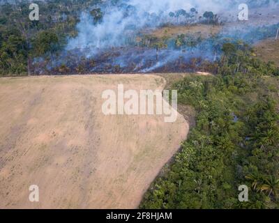 Luftdrohnen-Ansicht des Feuers im Regenwald des Amazonas illegale Abholzung Landschaft Land für Landwirtschaft und Viehweide in para, Brasilien zu machen Stockfoto