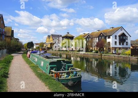 Der Fluss Lea bei Ware Stockfoto