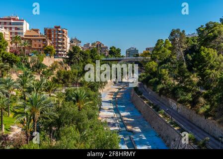 Palmenhaine am Fluss Vinalopo in Elche, Spanien Stockfoto