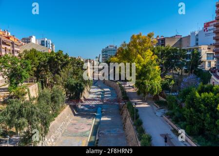 Palmenhaine am Fluss Vinalopo in Elche, Spanien Stockfoto