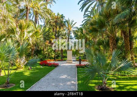 Statue von Jaime I im huerto del Cura Garten in Elche, Spanien Stockfoto