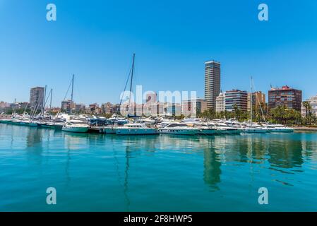 Marina im Hafen von Alicante in Spanien Stockfoto