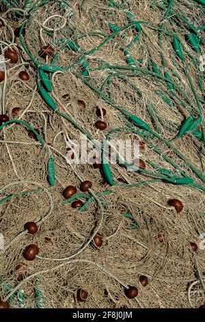 Das verworrene Netz der Gemeinsamen Fischereipolitik der Europäischen Union - oder vielleicht nur ein Haufen Netze und schwimmt im historischen Hafen von Piran, an der Adriaküste des slowenischen Istriens, Slowenien. Stockfoto