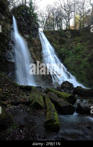 Gray Mare's Tail / Rhaeadr Y Parc Mawr. Der linke (südliche) Bach fällt etwa 45 Fuß und der rechte (nördliche) Bach fällt etwa 50 Fuß. Stockfoto