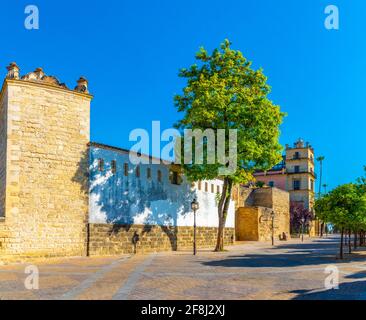 Burg Alcazar in Jerez de la Frontera in Spanien Stockfoto