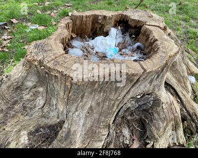 Baumstamm, der als Müllkiste verwendet wird. Mensch gegen Natur Konzept. Stockfoto