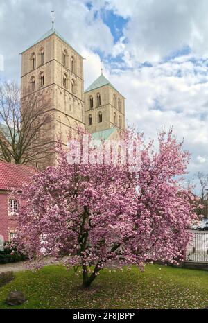 Blick auf den mittelalterlichen Münster oder den St.-Paulus-Dom in Münster Stockfoto