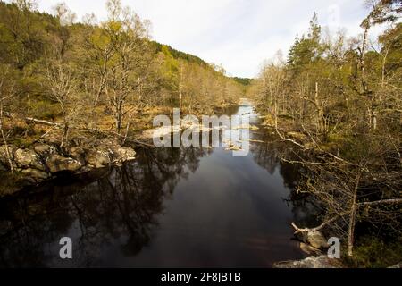 Der Fluss Affric, der durch Glen Affric, Schottland, fließt, wobei sich die Bäume an seinem Ufer an einem sonnigen Tag in der scheinbar ruhigen dunklen Oberfläche spiegeln Stockfoto