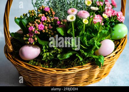 Osterblumen im Frühling in einem Korb mit Ostereiern Stockfoto