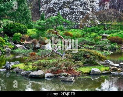 Shofuso Japanese House and Garden, Fairmount Park, Philadelphia, Pennsylvania, USA Stockfoto