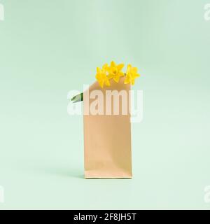 Bouquet von Hyazinthen blüht in einem braunen Papierbeutel auf Ein pastellfarbener li Stockfoto