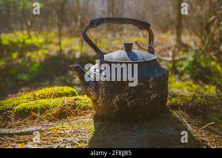 Vintage großen Aluminium Teekocher Wasserkocher Herd auf Natur Hintergrund. Alte Teekocher Stockfoto