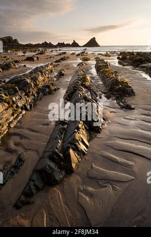 Der exponierte Strand bei Ebbe am Hartland Quay in der North Devon Coast National Landscape bei Sonnenuntergang, England. Stockfoto