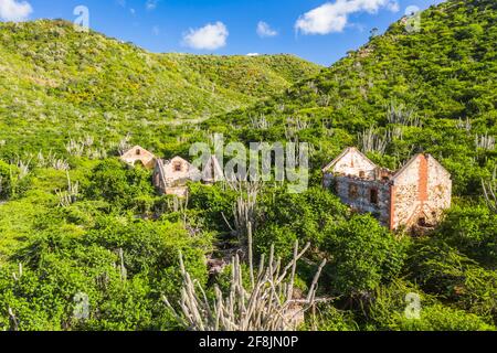 Luftaufnahme über Landschaft von Curacao, Karibik mit alten Ruinen in den Bergen Stockfoto