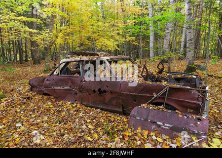 Altes viertüriger Chevrolet-Auto, umgeben von einem Laubfall Das verlassene Gelände des alten Zivilschutzes von North Woodstock Corps Camp in North Woodsto Stockfoto