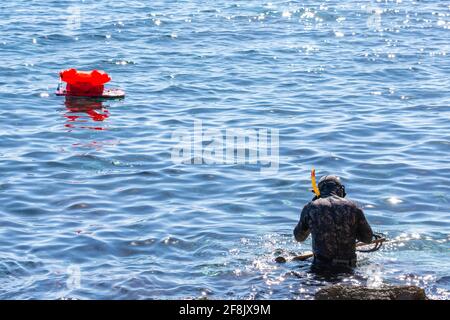 Mann mit Neoprenanzug und Gewehr, der zum Speerfischen ins Meer eindringt Stockfoto