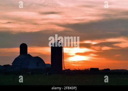 Burlington, Illinois, USA. Zwei große Silos halten eine große Farm in den Hintergrund, da der Sonnenuntergang das Ende des Tages hinter einer Milchfarm im Nordosten von Illinois markiert. Stockfoto
